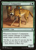Initiate's Companion – Common Magic: The Gathering card from Amonkhet (#174)