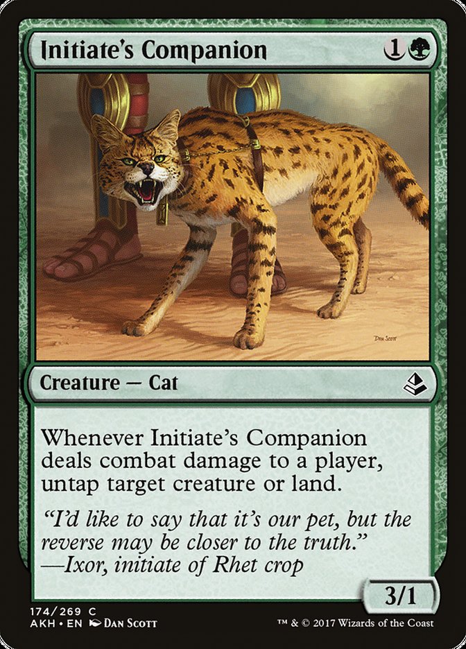 Initiate's Companion – Common Magic: The Gathering card from Amonkhet (#174)