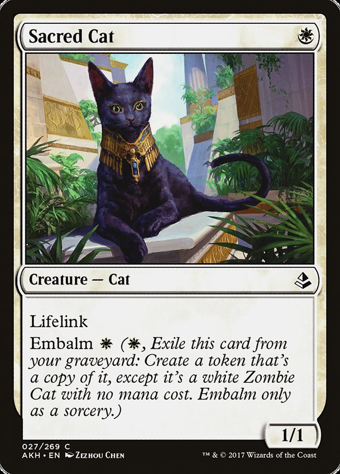 Sacred Cat – Common Magic: The Gathering card from Amonkhet (#27)