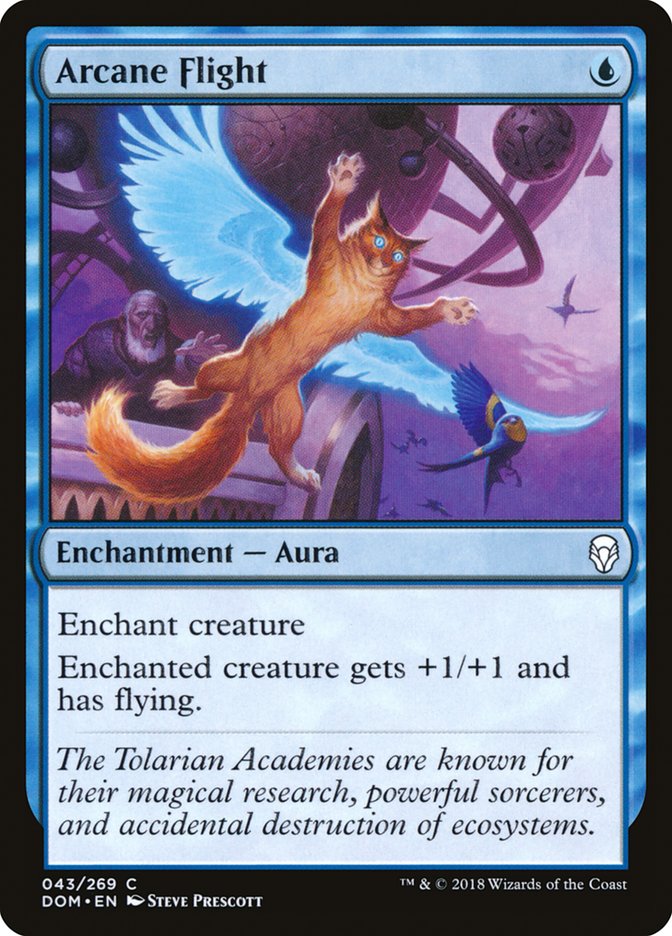 Arcane Flight – Common Magic: The Gathering card from Dominaria (#43)