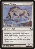 Tundra Wolves – Common Magic: The Gathering card from Tenth Edition (#54)