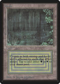 Bayou – Rare Magic: The Gathering card from Limited Edition Beta (#279)
