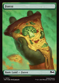 Forest – Common Magic: The Gathering card from Teenage Mutant Ninja Turtles (#314)