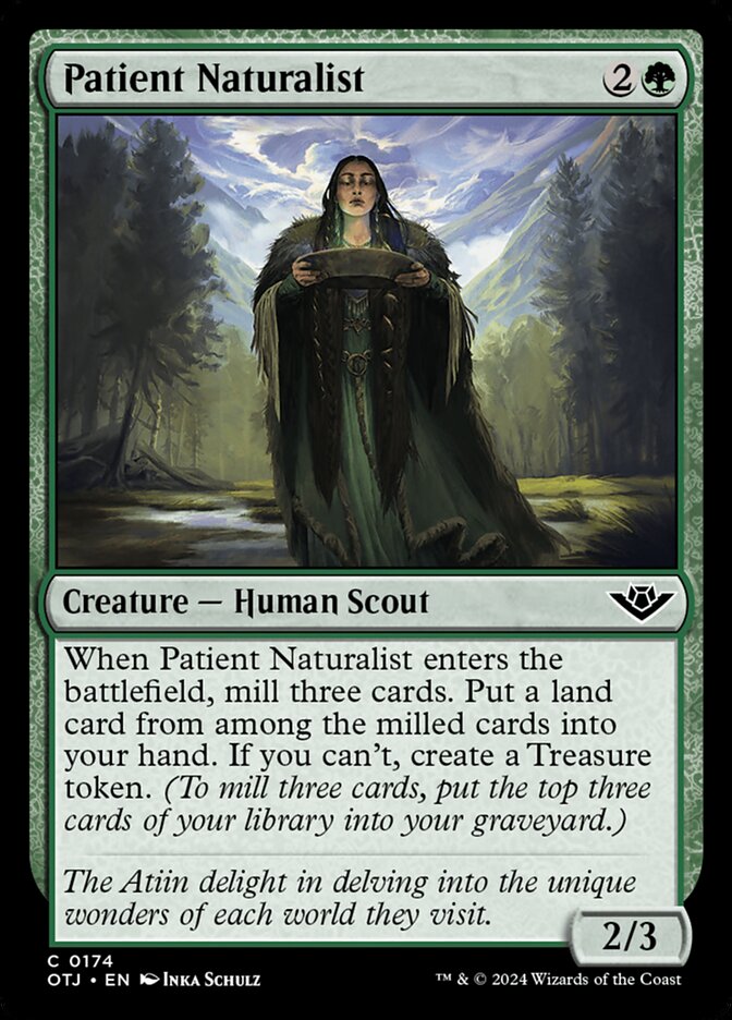 Patient Naturalist – Common Magic: The Gathering card from Outlaws of Thunder Junction (#174)
