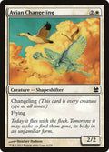 Avian Changeling – Common Magic: The Gathering card from Modern Masters (#6)
