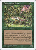 Carnivorous Plant – Common Magic: The Gathering card from Anthologies (#53)