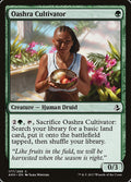 Oashra Cultivator – Common Magic: The Gathering card from Amonkhet (#177)