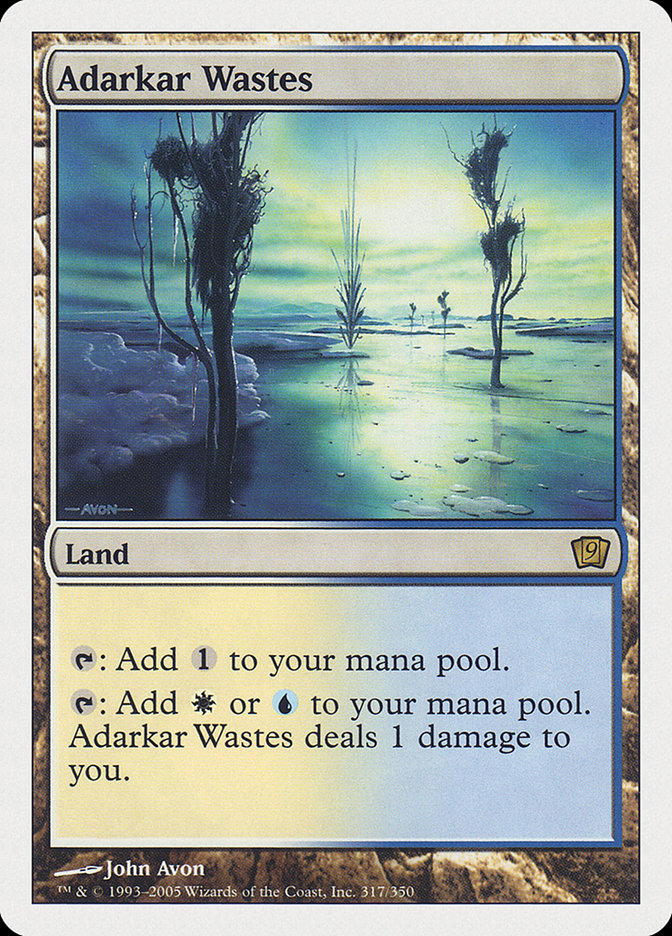Adarkar Wastes – Rare Magic: The Gathering card from Ninth Edition (#317)