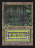 Bayou – Rare Magic: The Gathering card from Collectors' Edition (#279)