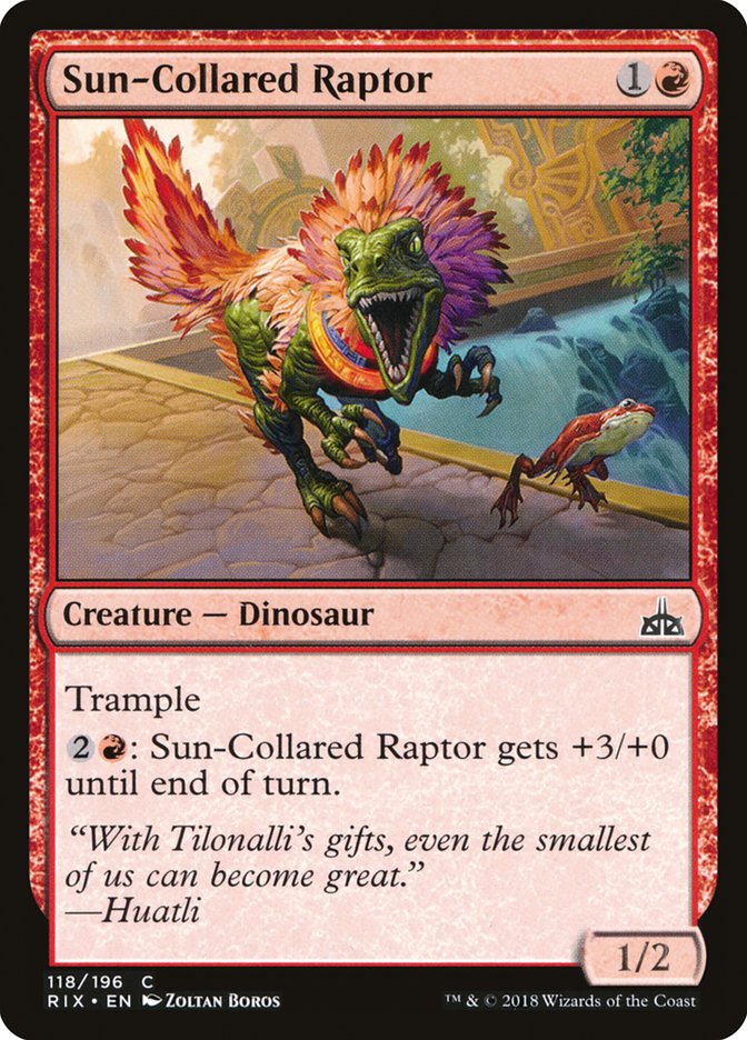 Sun-Collared Raptor – Common Magic: The Gathering card from Rivals of Ixalan (#118)