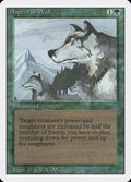 Aspect of Wolf – Rare Magic: The Gathering card from Revised Edition (#186)