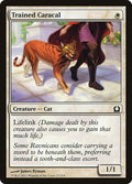 Trained Caracal – Common Magic: The Gathering card from Return to Ravnica (#27)