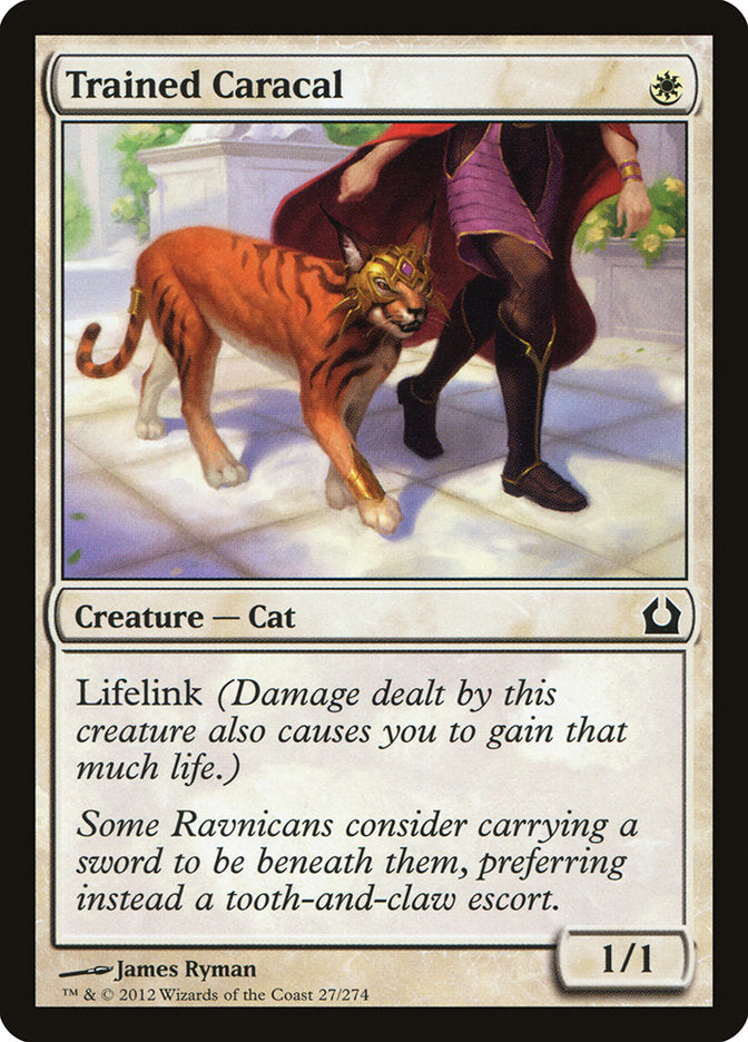 Trained Caracal – Common Magic: The Gathering card from Return to Ravnica (#27)