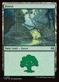 Forest – Common Magic: The Gathering card from Tarkir: Dragonstorm (#285)