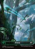 Forest – Common Magic: The Gathering card from Edge of Eternities (#266)
