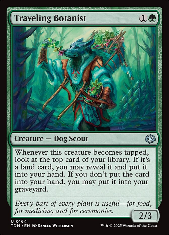 Traveling Botanist – Uncommon Magic: The Gathering card from Tarkir: Dragonstorm (#164)