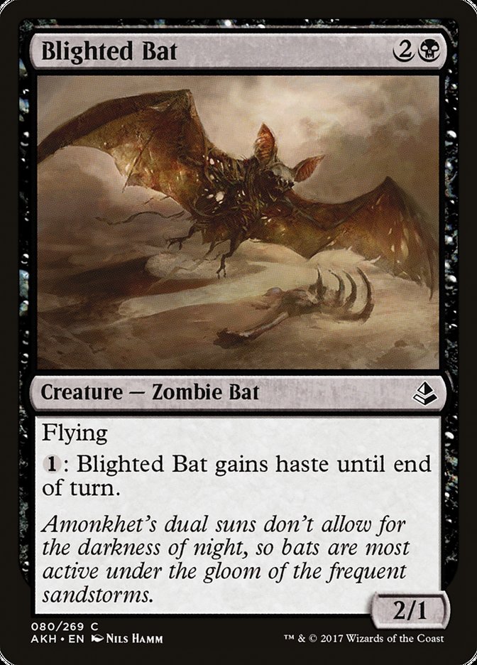 Blighted Bat – Common Magic: The Gathering card from Amonkhet (#80)