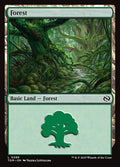Forest – Common Magic: The Gathering card from Tarkir: Dragonstorm (#286)