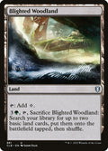 Blighted Woodland – Uncommon Magic: The Gathering card from Commander Legends: Battle for Baldur's Gate (#881)