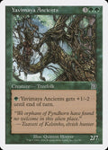 Yavimaya Ancients – Common Magic: The Gathering card from Deckmasters (#31a)