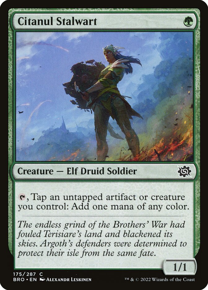 Citanul Stalwart – Common Magic: The Gathering card from The Brothers' War (#175)