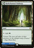 Barkchannel Pathway // Tidechannel Pathway – Rare Magic: The Gathering card from Kaldheim (#251)