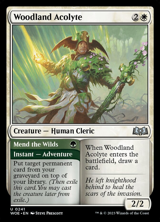 Woodland Acolyte // Mend the Wilds – Uncommon Magic: The Gathering card from Wilds of Eldraine (#241)