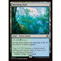Breeding Pool (EOE 251) — Moore Collectables UK
