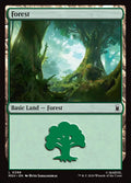 Forest – Common Magic: The Gathering card from Marvel Super Heroes (#296)