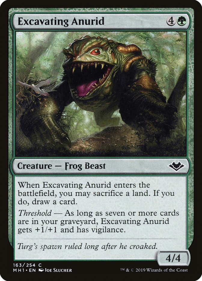 Excavating Anurid – Common Magic: The Gathering card from Modern Horizons (#163)