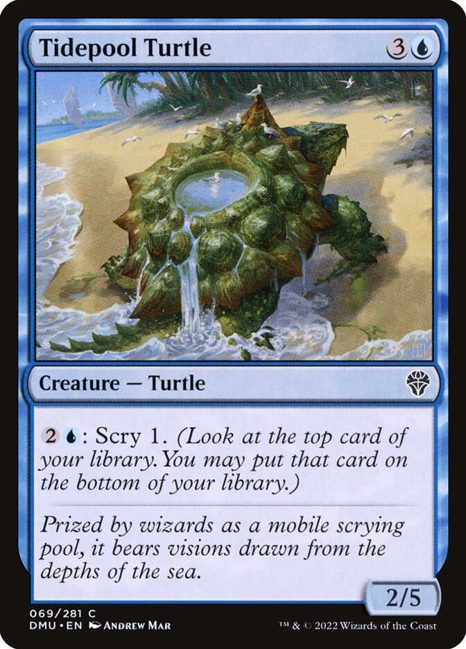 Tidepool Turtle – Common Magic: The Gathering card from Dominaria United (#69)