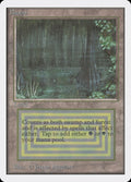 Bayou – Rare Magic: The Gathering card from Unlimited Edition (#279)