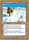 Adarkar Wastes – Rare Magic: The Gathering card from Pro Tour Collector Set (#ml351)