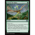 Defend the Rider (DFT 157) — Moore Collectables UK