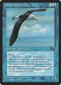 Giant Albatross – Common Magic: The Gathering card from Homelands (#27b)