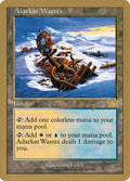 Adarkar Wastes – Rare Magic: The Gathering card from World Championship Decks 2000 (#tvdl319)