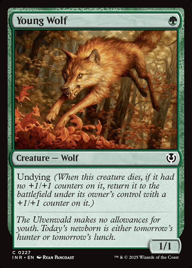 Young Wolf – Common Magic: The Gathering card from Innistrad Remastered (#227)