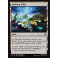 Evolving Wilds (ECL 264) — Moore Collectables UK