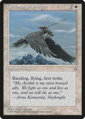 Kjeldoran Skyknight – Common Magic: The Gathering card from Ice Age (#40)