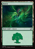 Forest – Common Magic: The Gathering card from Edge of Eternities (#275)