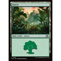 Forest (DFT 289) — Moore Collectables UK