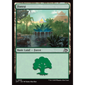 Forest (DFT 290) — Moore Collectables UK