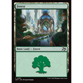 Forest (DFT 291) — Moore Collectables UK
