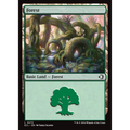 Forest (ECL 273) — Moore Collectables UK