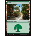 Forest (SPM 198) — Moore Collectables UK