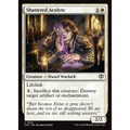 Shattered Acolyte (SOS 31) — Moore Collectables UK