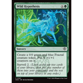 Wild Hypothesis (SOS 167) — Moore Collectables UK